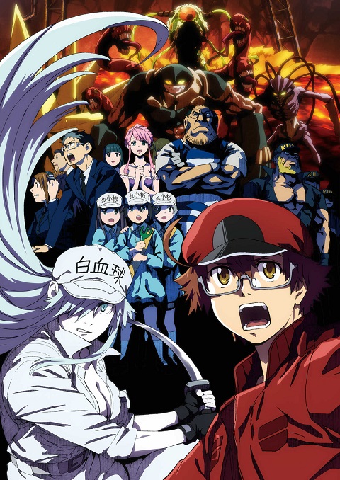 Hataraku Saibou Black เซลล์ขยัน พันธุ์เดือด แบล็ค ตอนที่ 1-13 ซับไทย-EP.6